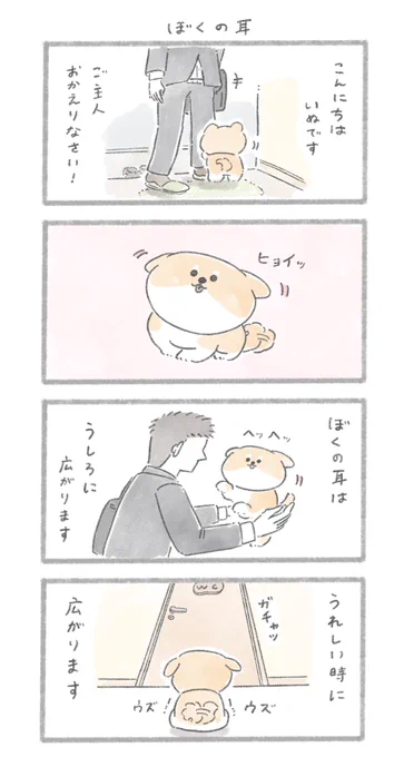 ヒコーキ耳#こんにちはいぬです 