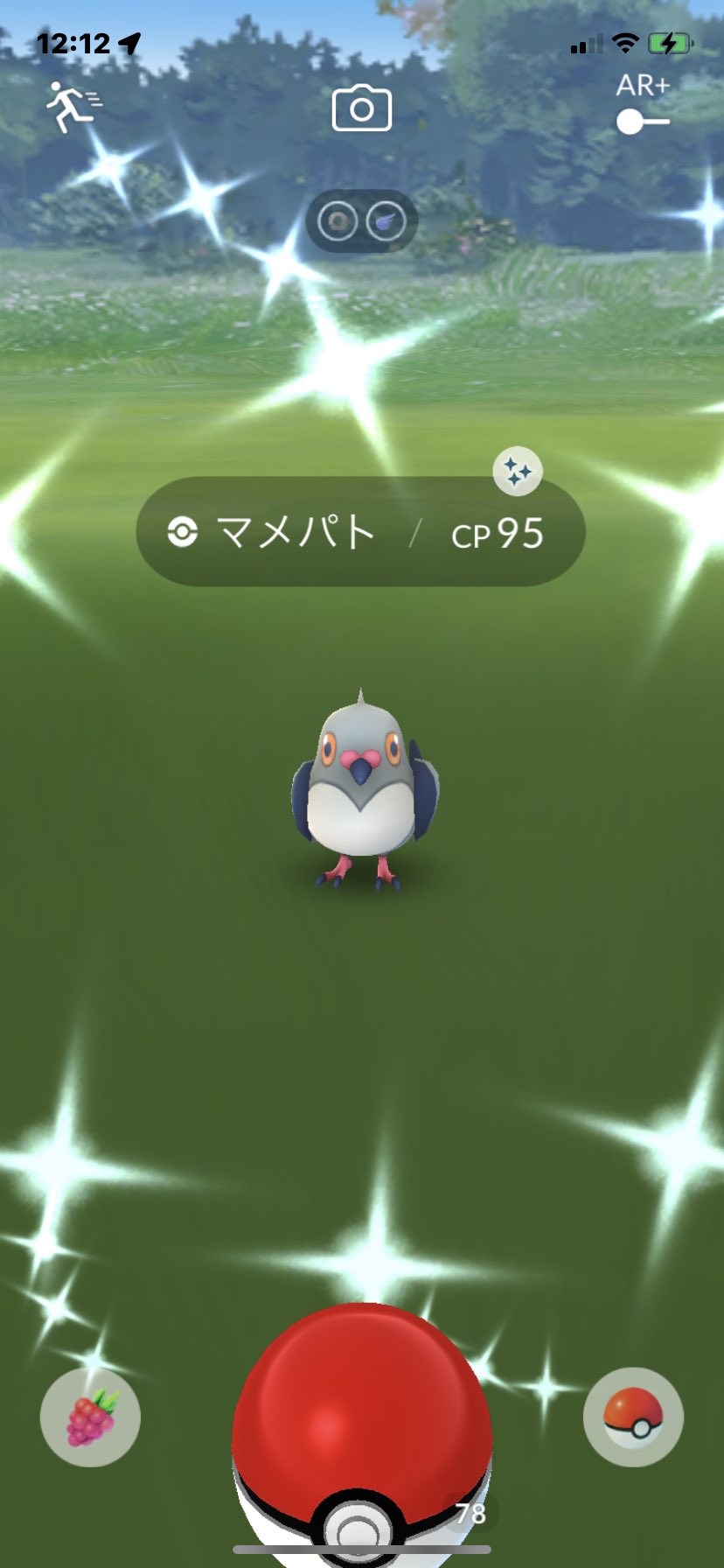 マメパト色違い Twitter Search Twitter