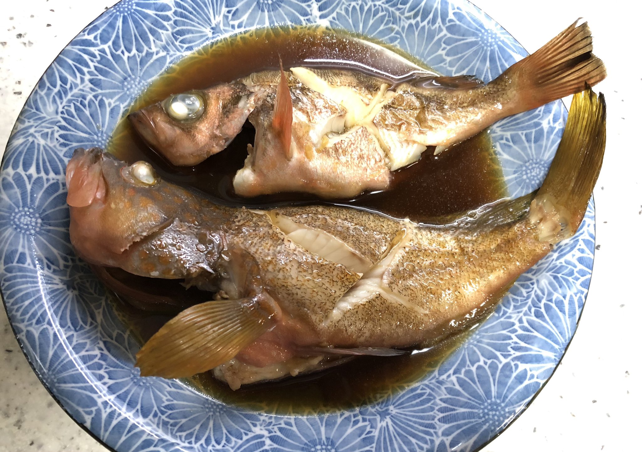 みつお 先週の魚達 キジハタのアクアパッツァ キジハタと沖メバルの煮付け T Co Yeaixcyrt1 Twitter