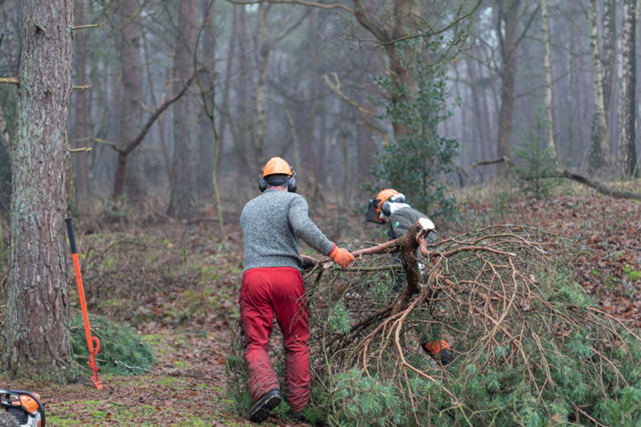 Advies na de storm: ga niet naar het bos. Het risico van hangende bomen en takbreuken is groot. Bezoekers zijn welkom in onze 'open' natuurgebieden zoals duinen, polders, uiterwaarden en heide. bit.ly/3LKQa16
