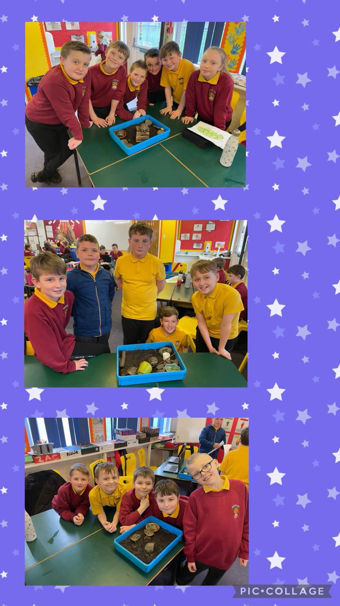 WhitehirstPs's tweet photo. Primary 6 looking after our special visitors 💫 Tyr and Hera #tortoise #responsibilty #learningaboutnature #STEM https://t.co/ZLAzxjNcjX
