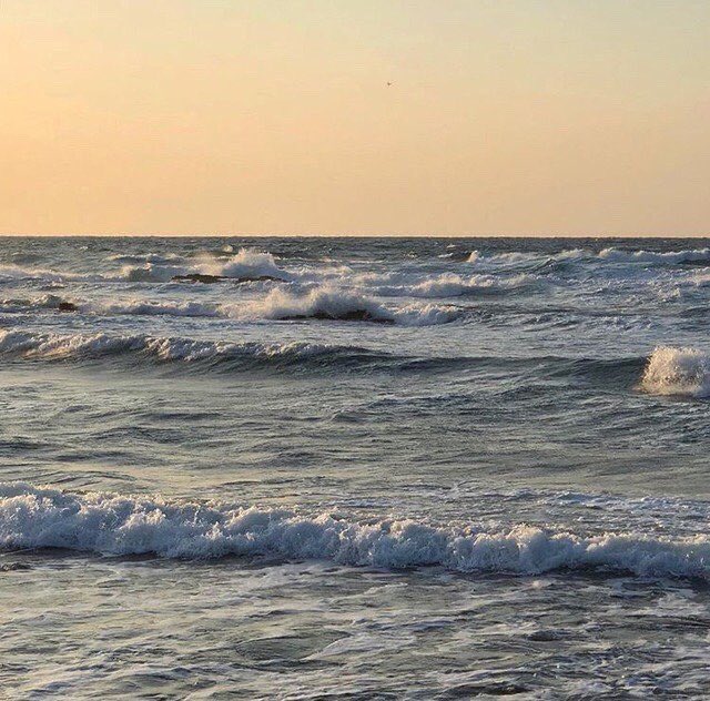 حياة البحر (@_sealife) on Twitter photo 