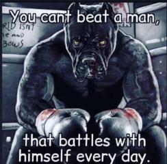 EclipseFNBR_'s tweet image. 