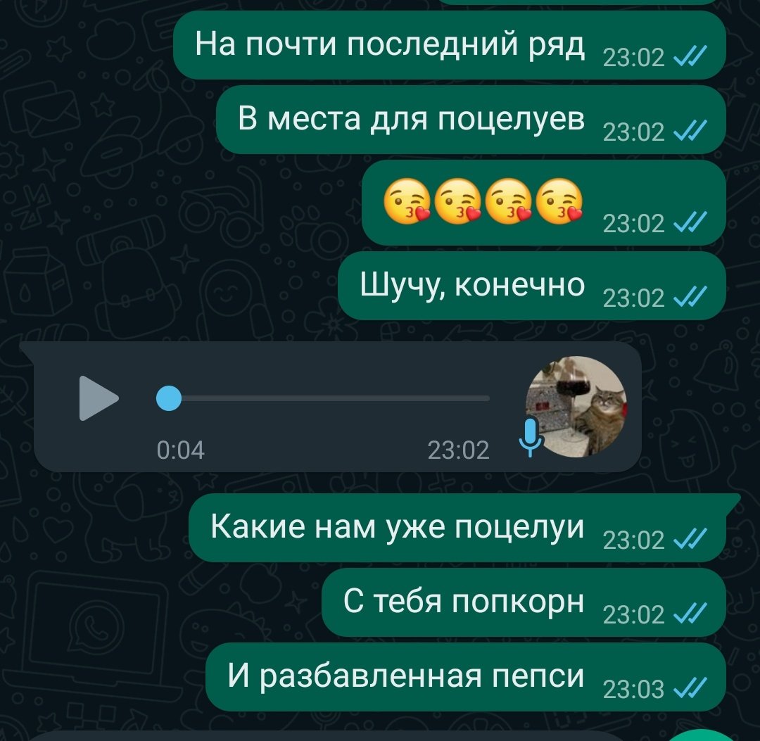 кэсеныш tweet media