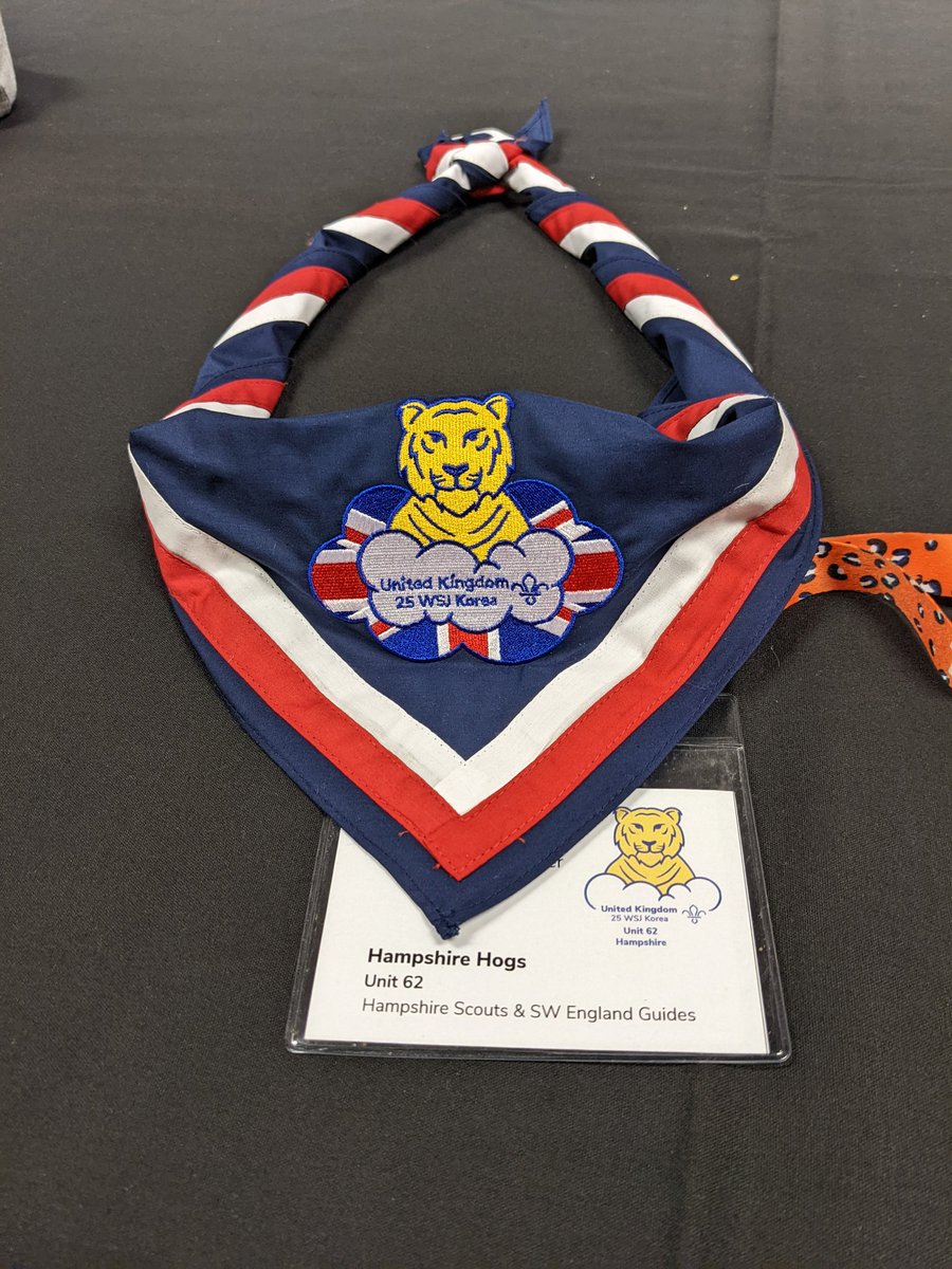 The Leadership team are having a great time at the UK Contingent training weekend and are loving new logo for our contingent merchandise. #uk25wsj #dreamwild  #drawyourdream #showyourstripes #ukcontingent