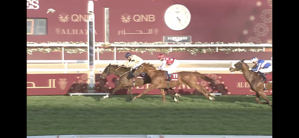 Archie Watson Racing tweet media