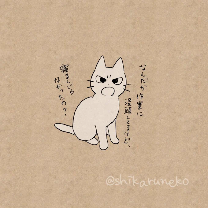 睡眠時間を削って作業する人を叱ってくれる猫 