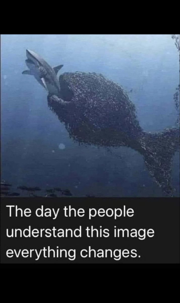 Concerned dad 🇺🇸 🏴☠️ tweet media