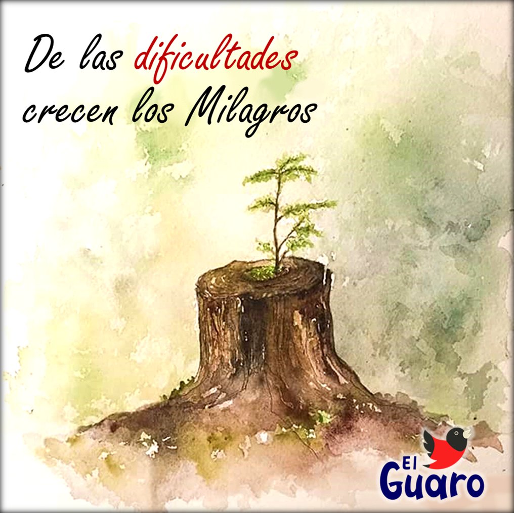 BQTO3001's tweet photo. Hay dos formas de ver la vida:
Una es creer que no existen milagros,
la otra es creer que todo es un milagro
— Albert Einstein

#FelizSabado 
#19Feb https://t.co/Rn3LwrkwVY