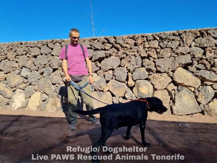 live_paws's tweet photo. Thank you to all our dog walkers today 💛💙🐾 #dogsoftwitter #RescueDogs #Tenerife https://t.co/Se5hVgfW8e