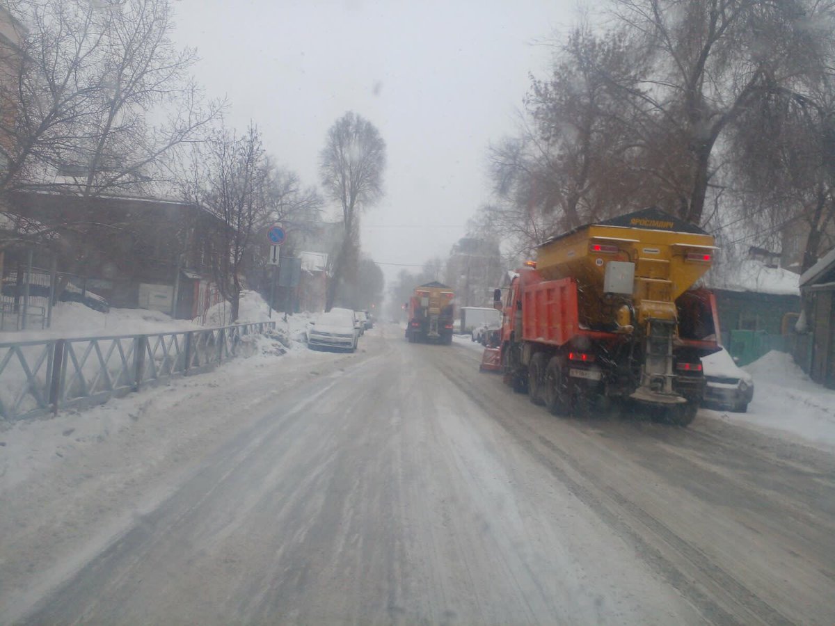 Царегородцева Наталья Викторовна tweet media