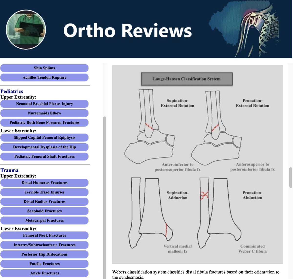Ortho Reviews tweet media