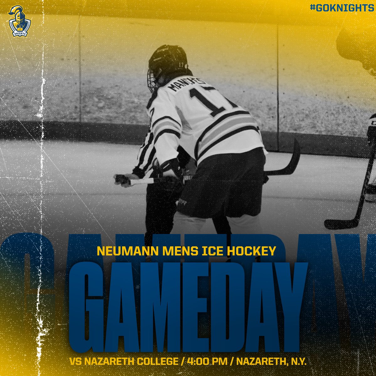 Neumann University Men's Ice Hockey tweet media