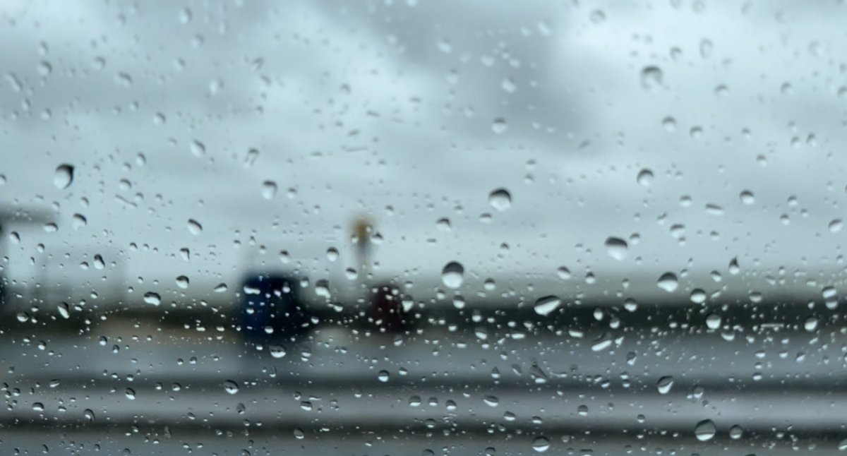 **Insert inspirational storm quote HERE**