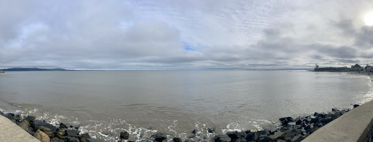 The intention was to take the dog for a short walk. However, with @lyricmoviemusic on the air it ended up being a 5km walk for myself  Benjamin Barker. Always a highlight of the week. ❤️🖖 <a href="/lonei03/">Lynsey Cello</a>
