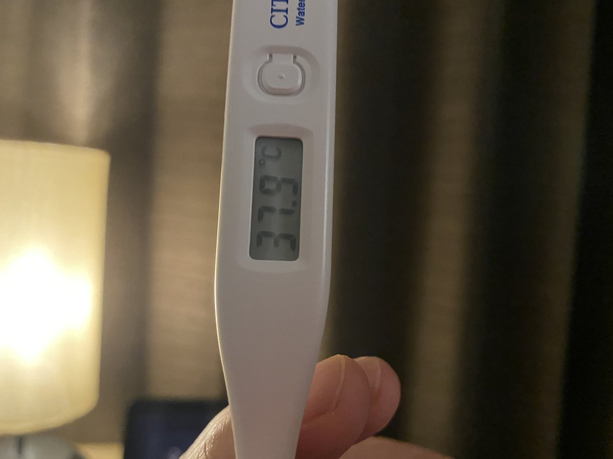 これは仮病用に撮った体温計の写真です