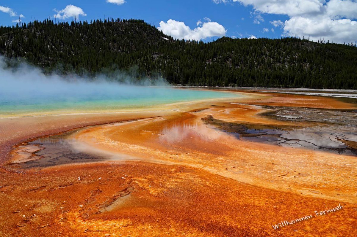 WFernweh's tweet photo. 150 Jahre Yellowstone! Da machen wir gern mit bei der Fotoaktion #YNP150area   Das Midway Geysir Basin mit der Grand Prismatic Spring gehört für uns zu den eindrucksvollsten Gebieten. #Yellowstone150 https://t.co/KkgSp9vSFf