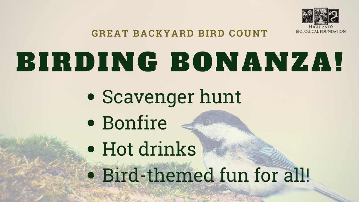 HighlandsBioFdn's tweet photo. We're gearing up for our Birding Bonanza this afternoon between 1 &amp; 4 PM at the Valentine Meadow (888 Horse Cove Rd)! Join us for this FREE, family-friendly event to enjoy a bonfire, snacks, cornhole, and more as we celebrate the 25th annual #GreatBackyardBirdCount!  🐦 https://t.co/BnWCcBF53w