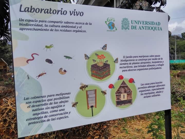 PROYECTOPECC's tweet photo. @EcoInventos Alguien llamó a lista?
Cordial Saludo 👋 
Nos unimos, invitando a incluir también la fórmula de las #PacasBiodigestoras. Las cuáles, son una forma de aplicar recuperación integral y circularidad, generando valor y empatía con el entorno. ➡ 
@InnovacionUdeA @LCatalinaOssa https://t.co/T48EDrgWiY