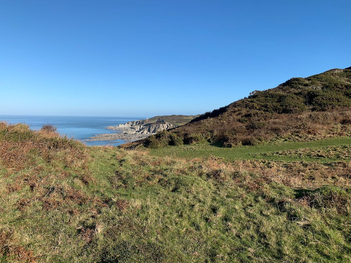 Byron Woolacombe tweet media