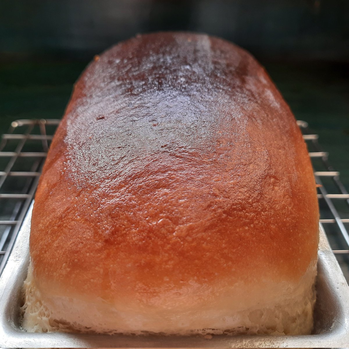 bikkubakes's tweet image. #MilkBread
#BikkuBreads