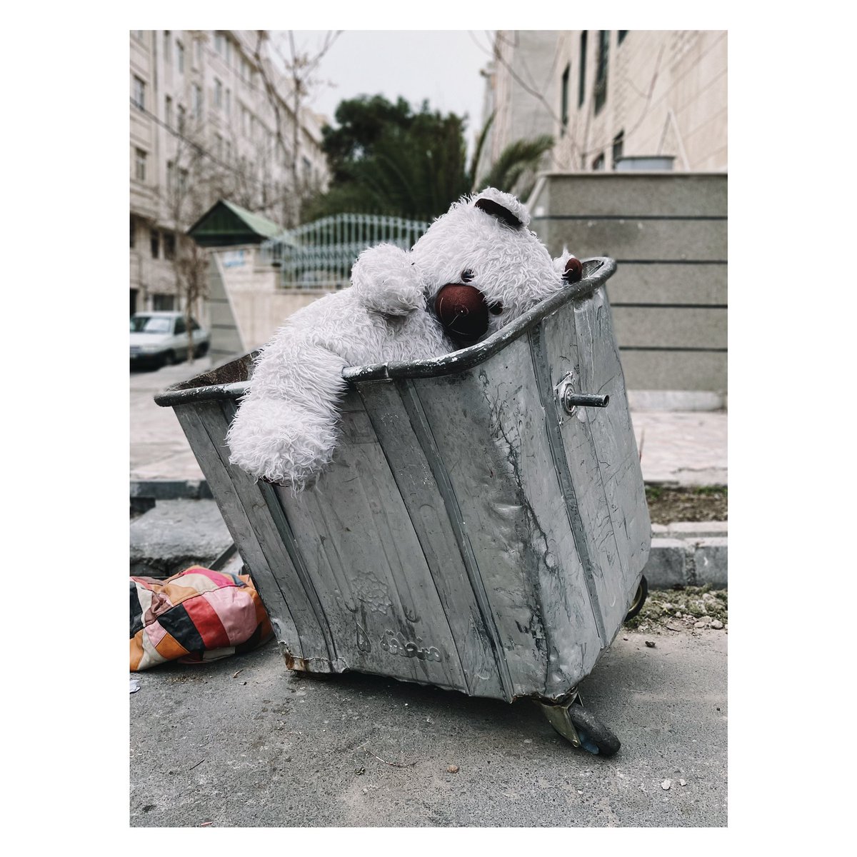 حال خرس ولنتاینتون چطوره؟
#ولنتاین 
#valentinegift 
#photooftheday