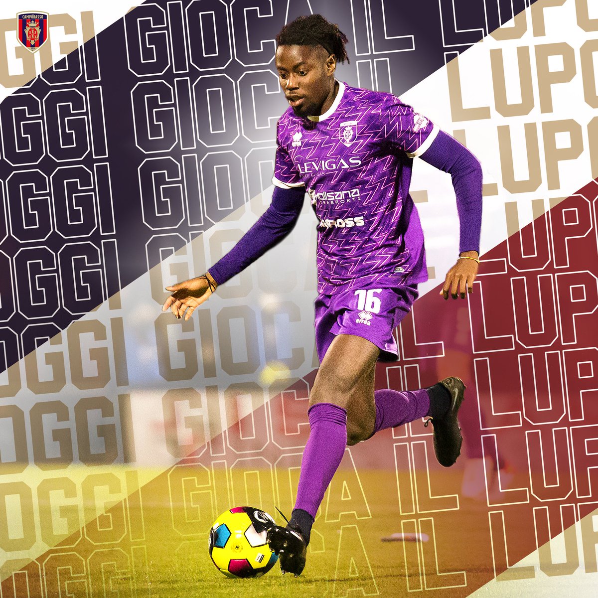 sscampobasso's tweet photo. 🔴🐺🔵OGGI GIOCA IL LUPO
Sfida in trasferta alla prima della classe!
#BARCAM
🆚 SSC Bari
🏟 Stadio San Nicola
🗓 19/02
⏱ 17:30pm CET
Diretta streaming sulla piattaforma ELEVEN SPORTS https://t.co/OTd82RgR58