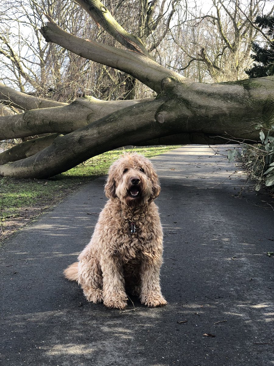 ⛰︎𝕏𝕏⛰︎ tweet media