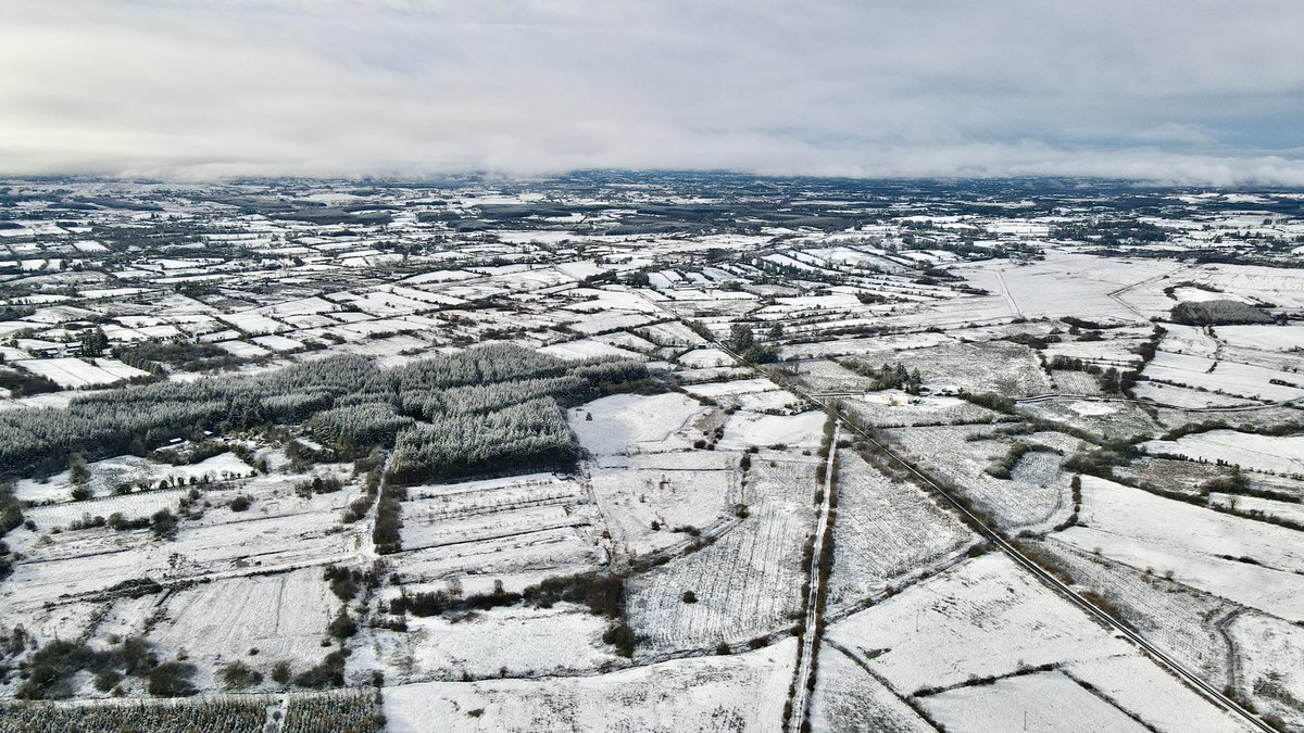 Tommy Stenson tweet media