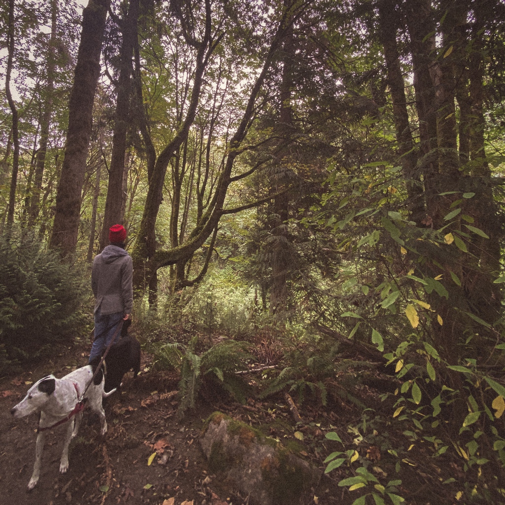 grdn_music's tweet photo. Moments in nature https://t.co/ccPp5WHBHa