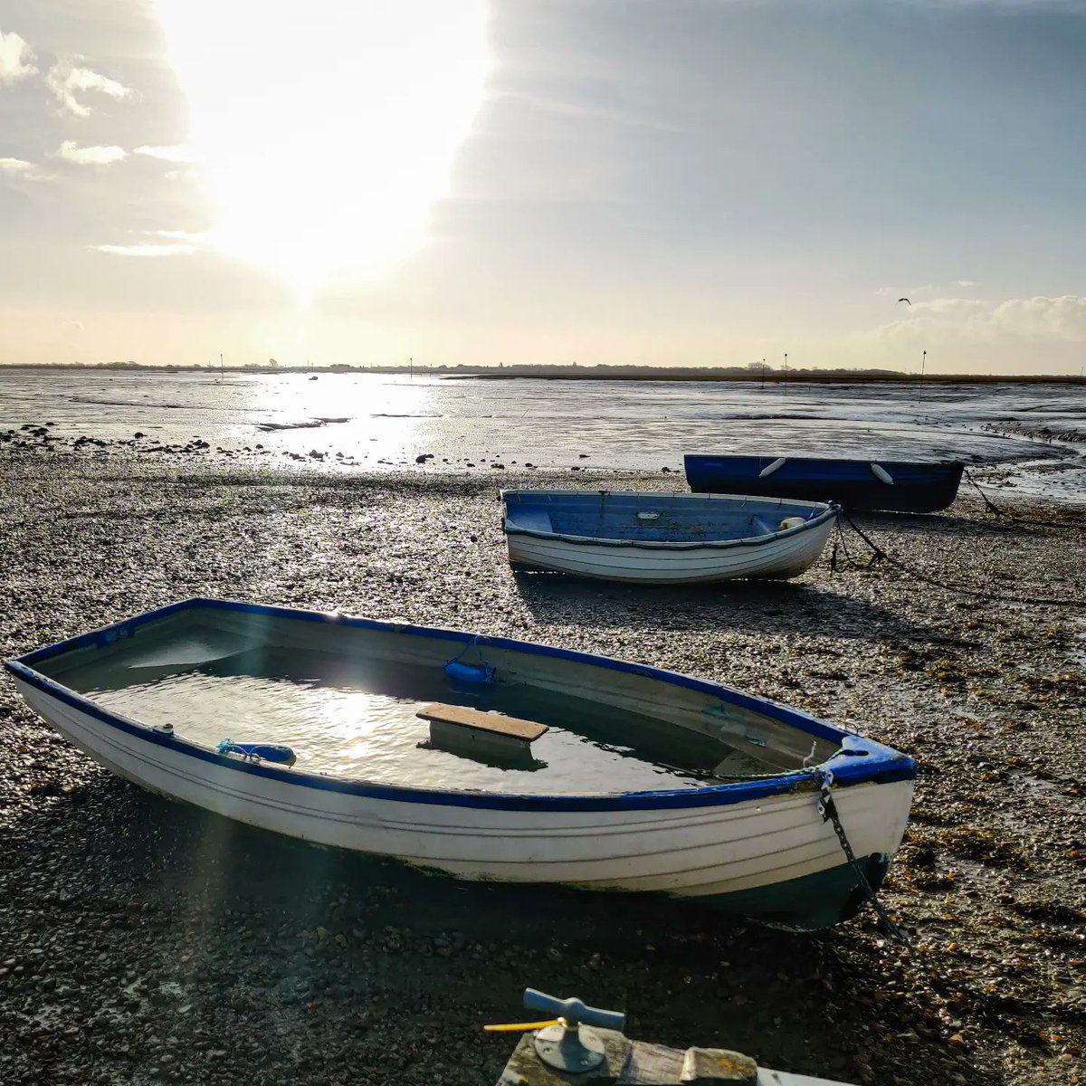 ChristinaDove7's tweet image. Lovely run down by the foreshore today
.
Evidence of #StormEunice all around, but the worst is over and I hope you have all managed to stay safe
.
#merceractive #ukrunchat #emsworthlife #emsworth #wellbeing #duathlontraining