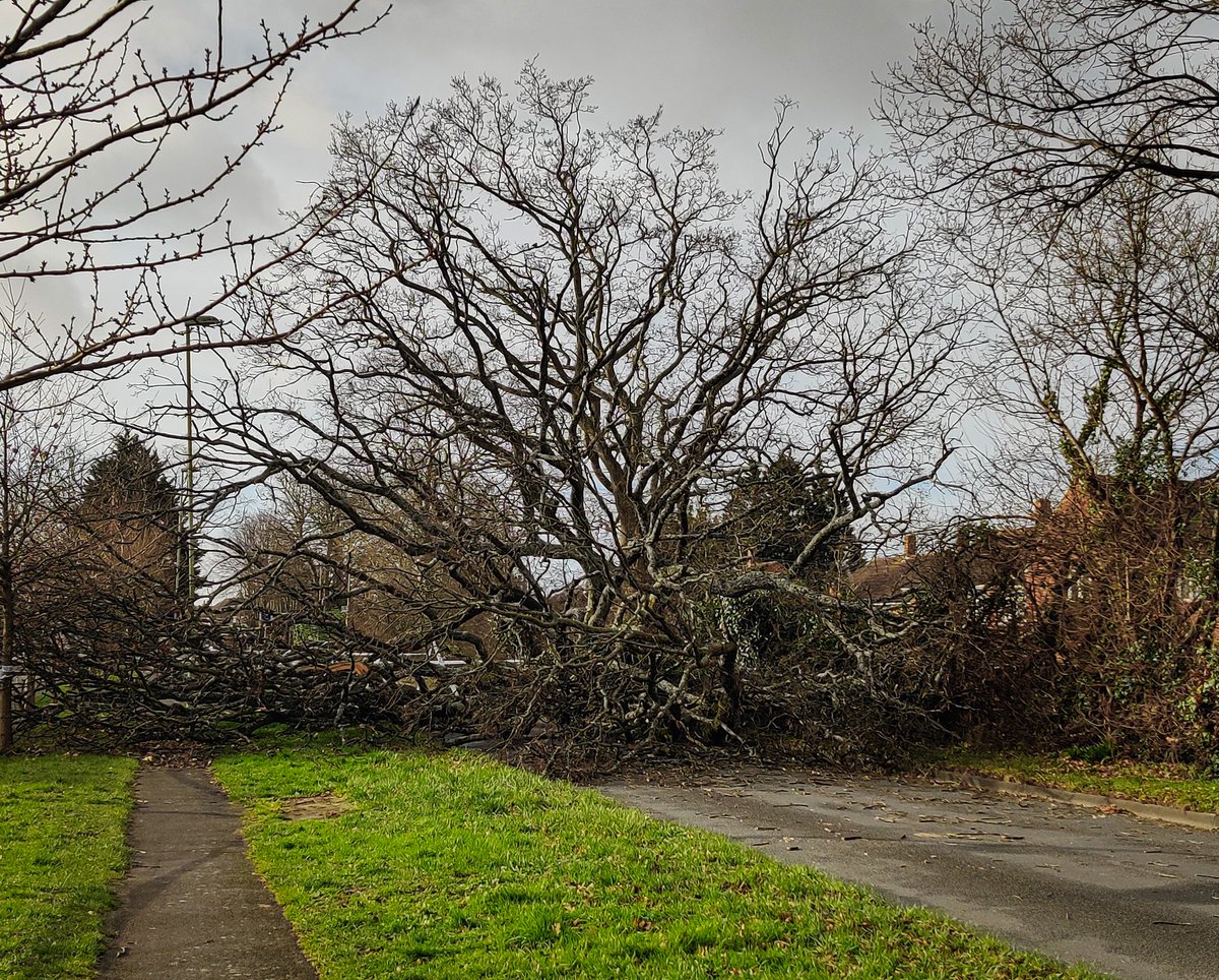 ChristinaDove7's tweet image. Lovely run down by the foreshore today
.
Evidence of #StormEunice all around, but the worst is over and I hope you have all managed to stay safe
.
#merceractive #ukrunchat #emsworthlife #emsworth #wellbeing #duathlontraining