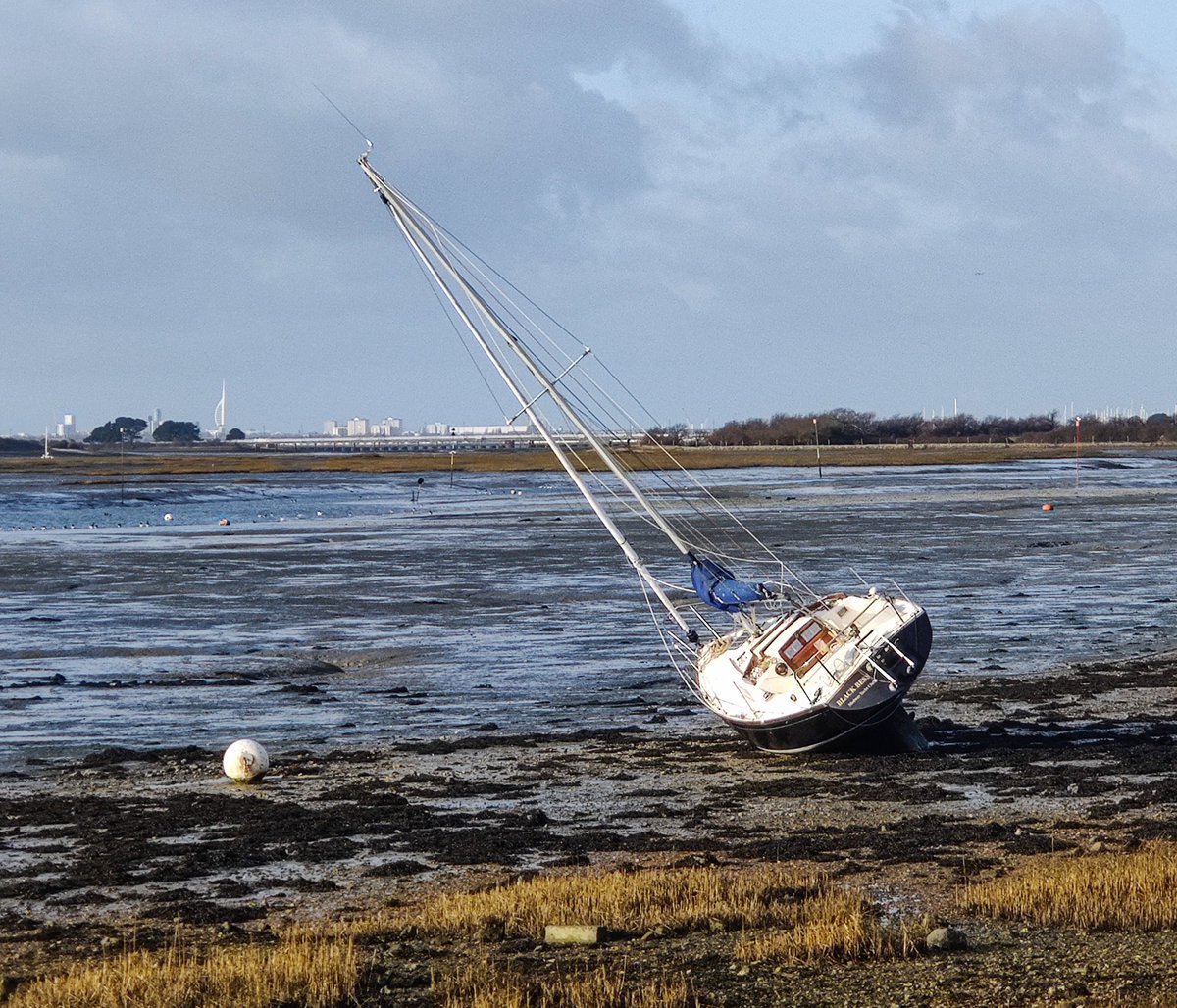 ChristinaDove7's tweet image. Lovely run down by the foreshore today
.
Evidence of #StormEunice all around, but the worst is over and I hope you have all managed to stay safe
.
#merceractive #ukrunchat #emsworthlife #emsworth #wellbeing #duathlontraining