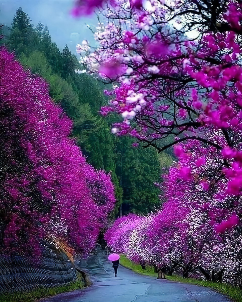 Nagano...... Japan❤️