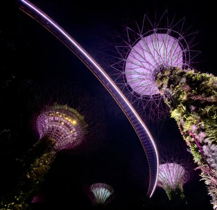 shu_yulin's tweet photo. #Singapore Relaxing at Singapore https://t.co/fpj9UnPboz