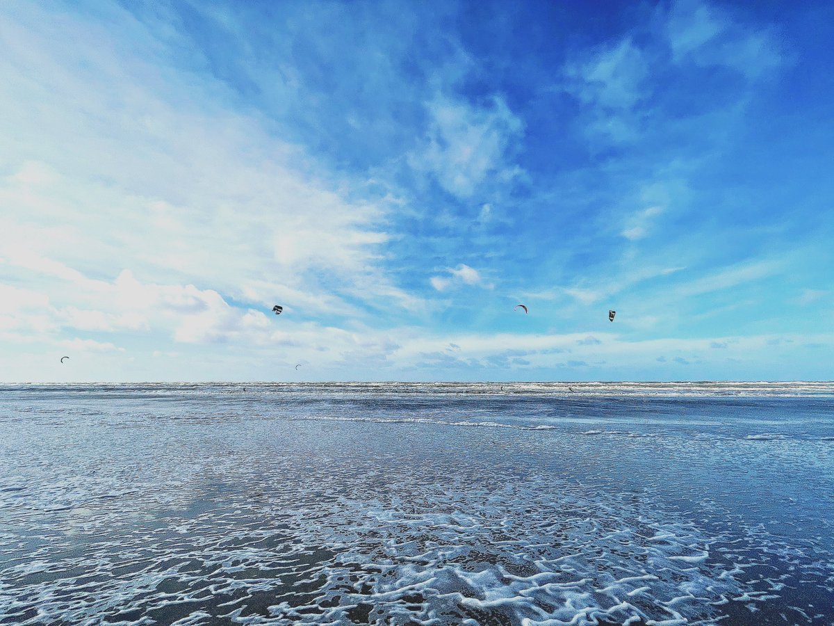 Mister Blue Sky ….