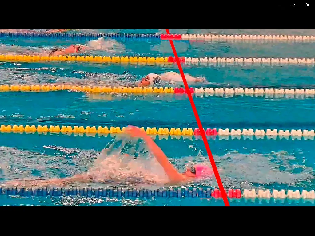 Fed. And. Natación tweet media