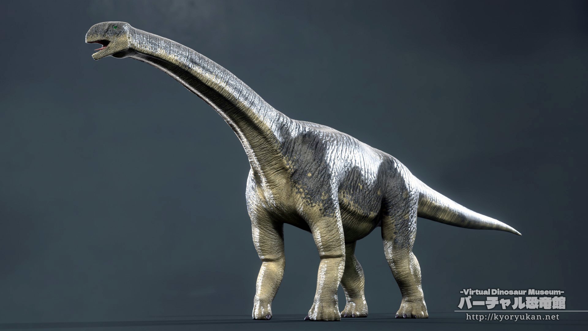 藤宮翔流 バーチャル恐竜館館長 Turiasaurus d Blender Dinosaur Dinosaurs Paleoart T Co Jj48nv5xw2 Twitter