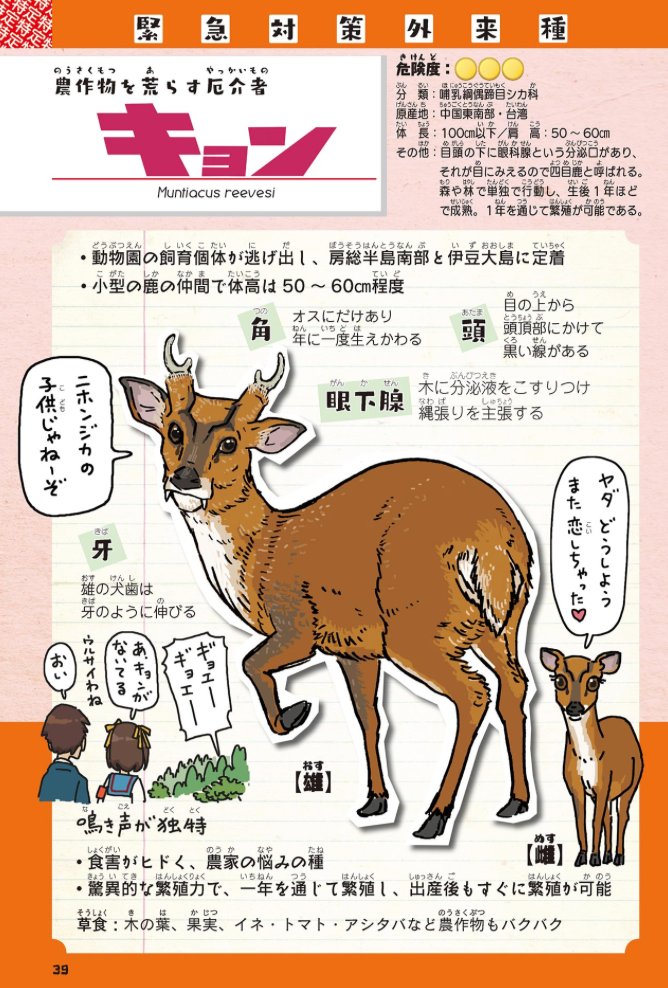 しかし、鳴き声がうるさいことで有名なキョンを駆除していたベトナム人が、カラオケがうるさいと周辺住民に通報されて彼らを雇っていた経営者が捕まるとは、落語のようなオチだな。

大量繁殖のキョン駆除で報酬 「カラオケうるさい」で発覚 不法滞在の外国人雇い逮捕
https://t.co/k8xlXymRaT 