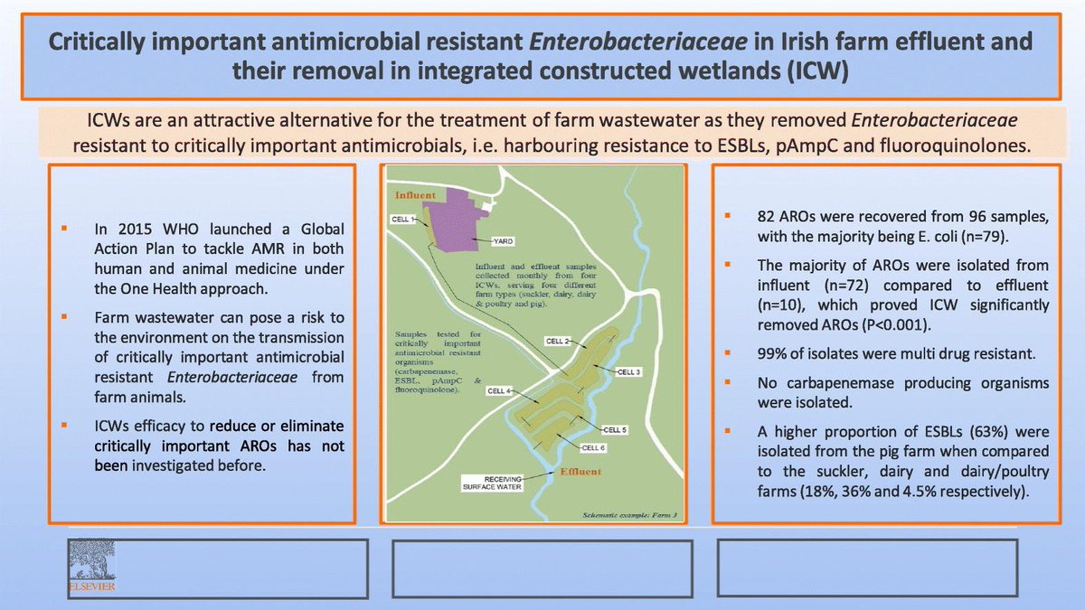 Interesting paper from the AREST project examining the removal of antimicrobial resistant Enterobacteriaceae in Irish farm effluent using integrated constructed wetlands 👇 Check it out at the link below 👇
sciencedirect.com/science/articl…