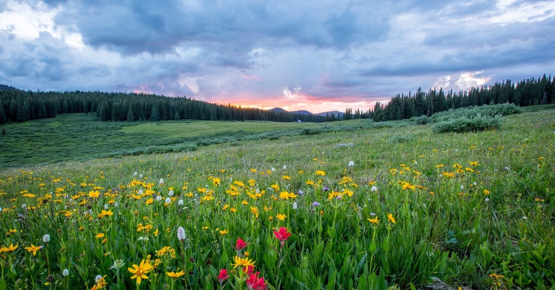 Take a breath and feel fresh air! Book your holiday in the UK and enjoy some amazing countryside! #weekendvibes