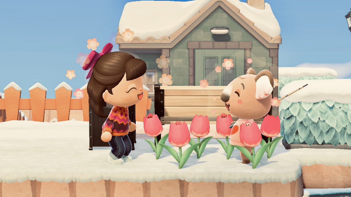 maralovebooks's tweet photo. Mientras tanto estas dos presiosodades me tienen in love. 🥰😍🤎 #ACNH #acnhvillager #acnheli #acnhmelba #AnimalCrossingNewHorizons https://t.co/MQDf0oMu39