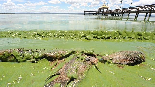 @Hillarion107 @GeraldKutney <a href="/savetheplaneto3/">Save the Planet Group 🌍 ⏳</a> @KaraJarina Extreme, unpredictable weather cycles (Some of which are caused by climate change) are not simply natural phenomenom. Factories should not produce toxic waste and pollute natural lakes. Now is not the time to do nothing! This is not the right course for the earth! #ClimateBrawl
