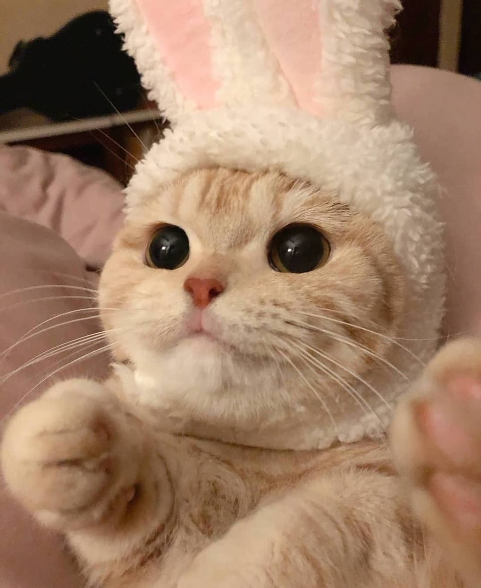 ᅠᅠ
ᅠᅠᅠᅠᅠᅠᅠ    

 ᅠ  
                 Falafel wita gości. 🐾ᅠᅠ
ᅠᅠᅠᅠᅠᅠᅠ    
              #OTWARCIE_PARFAIT 
ᅠᅠᅠᅠᅠᅠᅠ    

ᅠᅠ