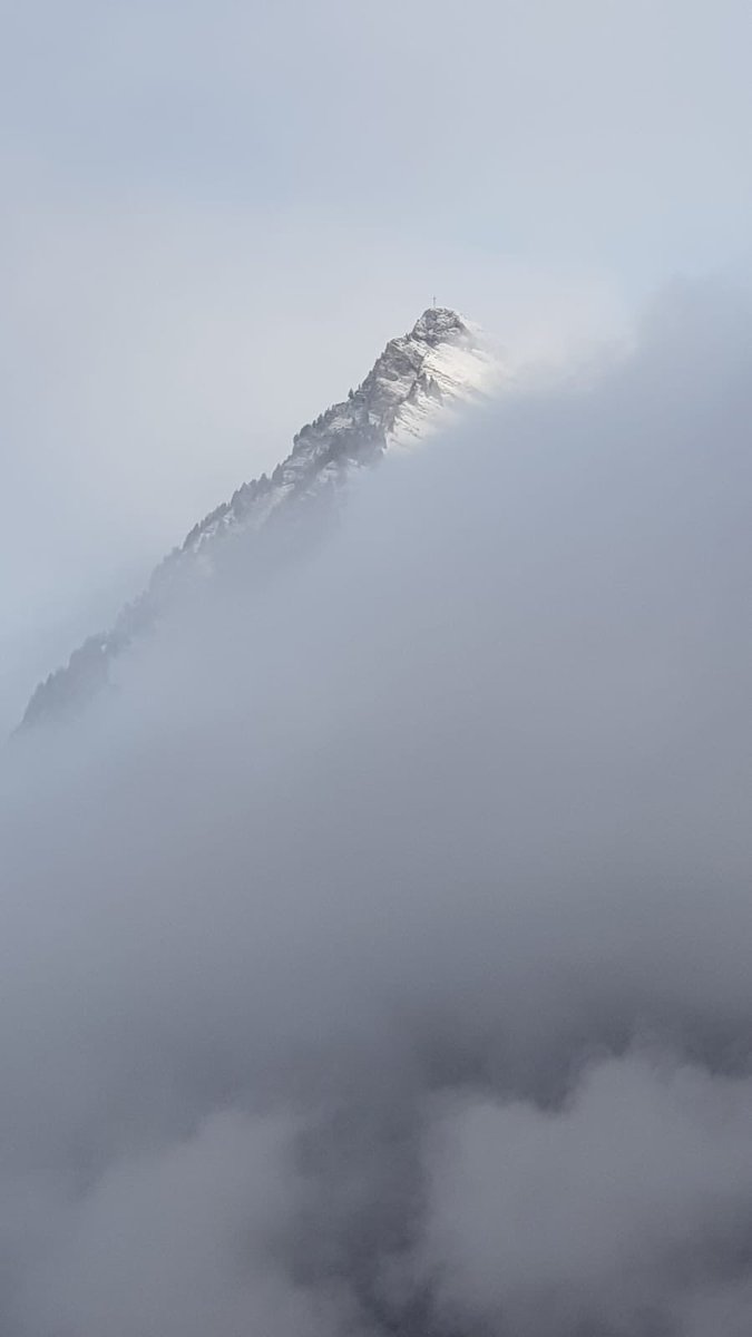 SallyAnneAirey's tweet photo. Seeing clearly through the mist #mountainwisdom https://t.co/CbUYVGZDt1