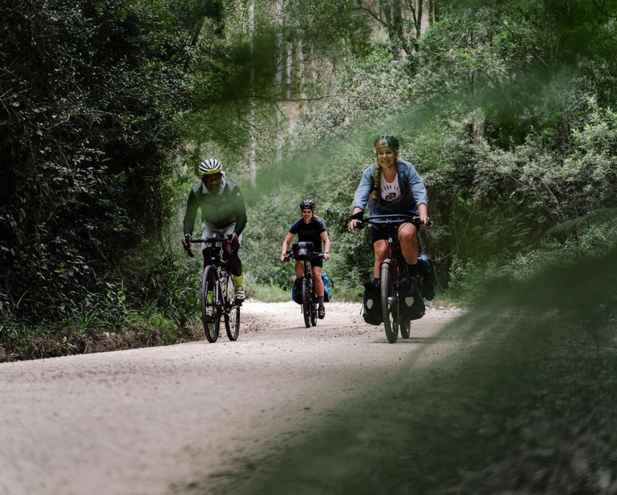 Hike, bike or leisurely stroll 🚲🚶‍♀️What’s your favourite way to explore the Knysna Forest? #VisitKnysna

Thanks IG/bicyclesouthza &amp; IG/CapeCycleRoutes for capturing this awesome shot 📸