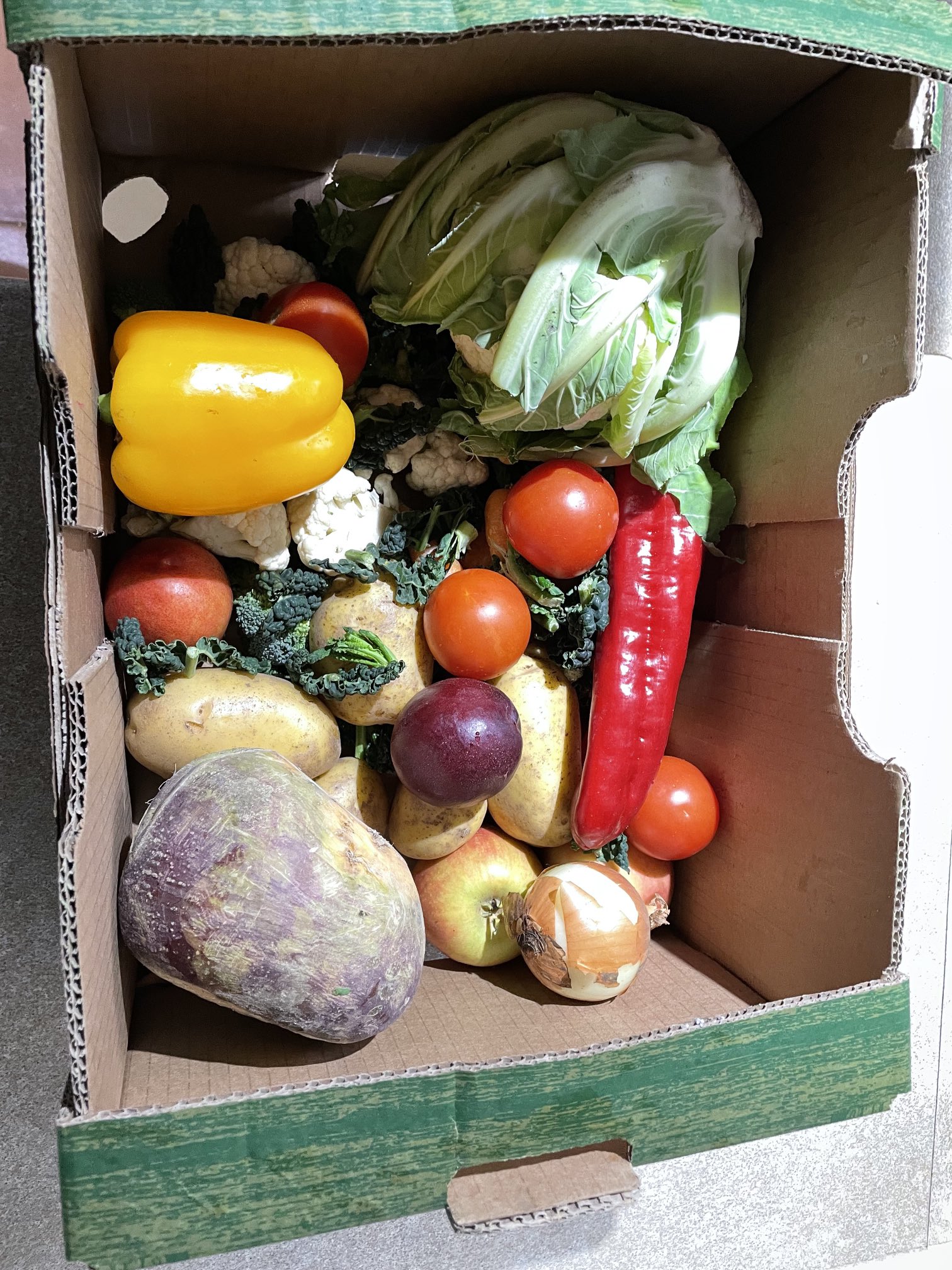 WildlifeKate on Twitter: "£1.50 Lidl veg box…. Plenty there soup and a meal! 😁 https://t.co/eGENuJeCVr" / Twitter