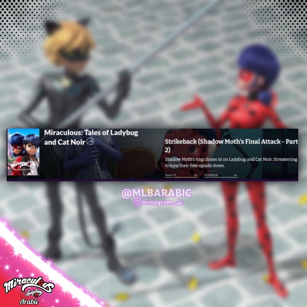 miraculousarab tweet picture