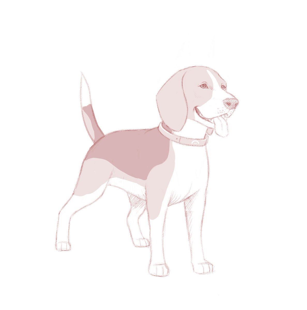Sneak peek of sketches for a few of our next breeds.. 👀

Final mint will see 1600 NFT's | 16 Breeds.

Trinity Mint currently live, on:
cardoggo.com/nft

#bulldog #boxer #beagle #doggos #cardoggo #CNFT #cnfts #Cardano #Identity #dao #blockchain