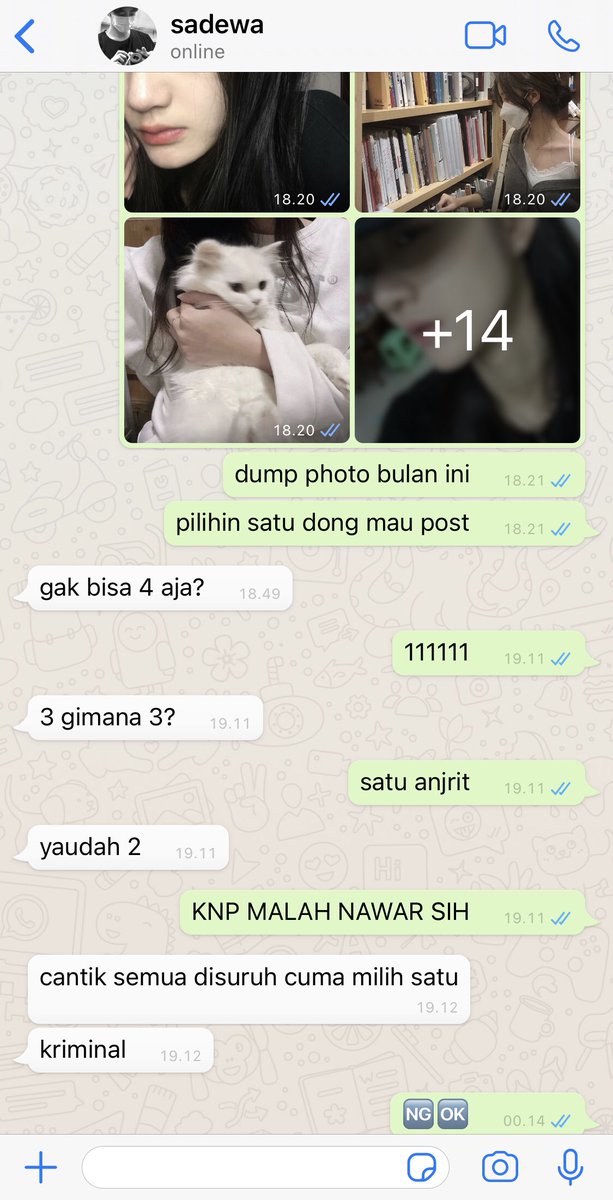 ANNE tweet media